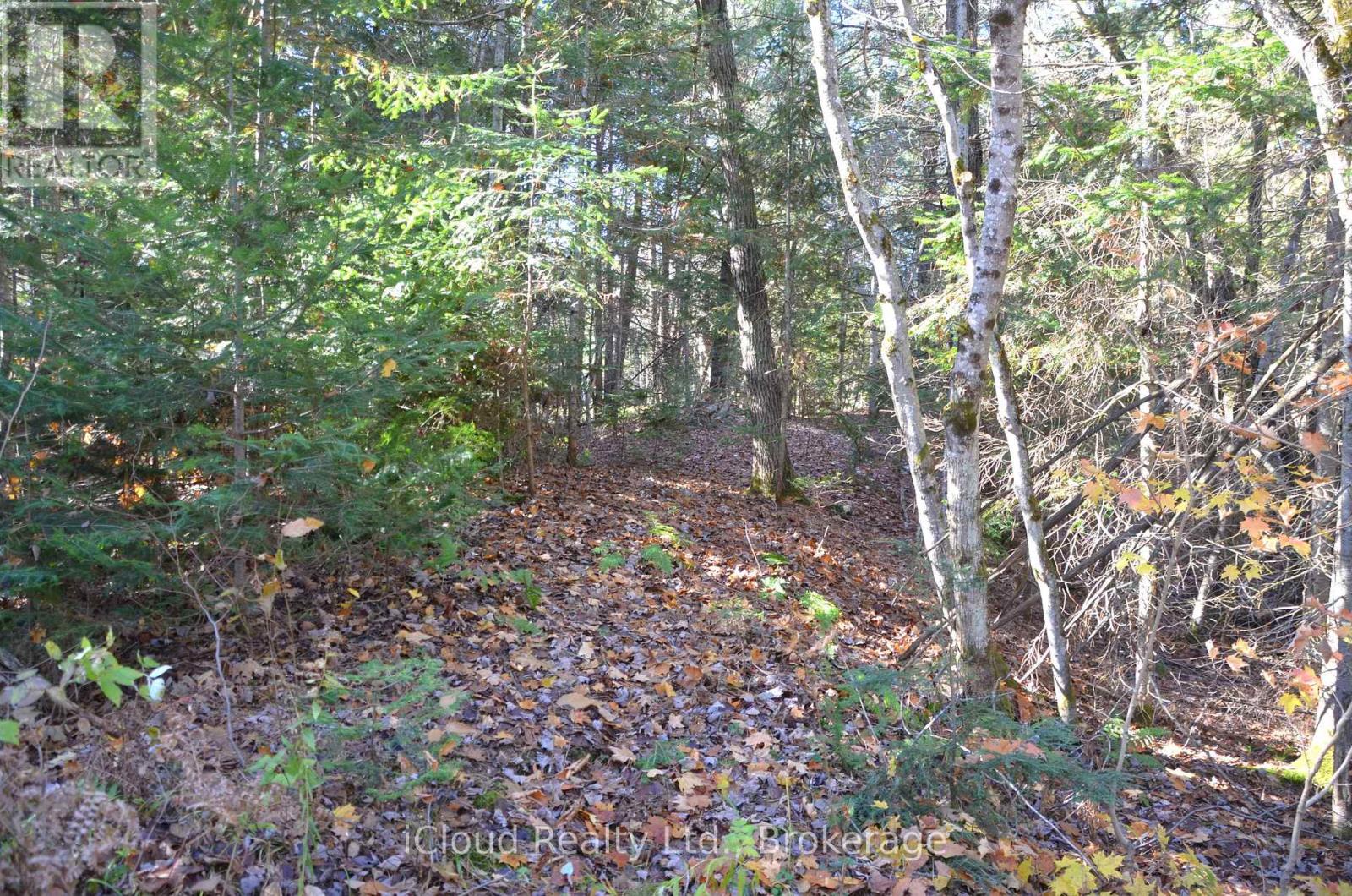 3 And 2 Parker Bay Road, Whitestone, Ontario