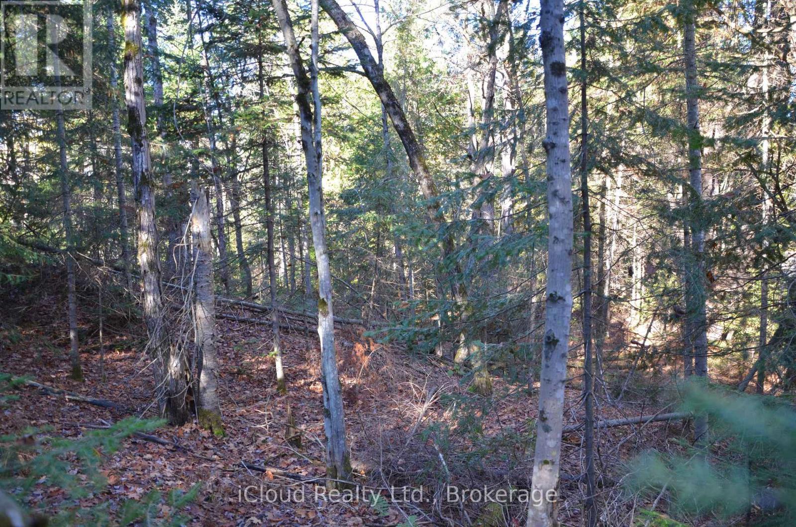 3 And 2 Parker Bay Road, Whitestone, Ontario