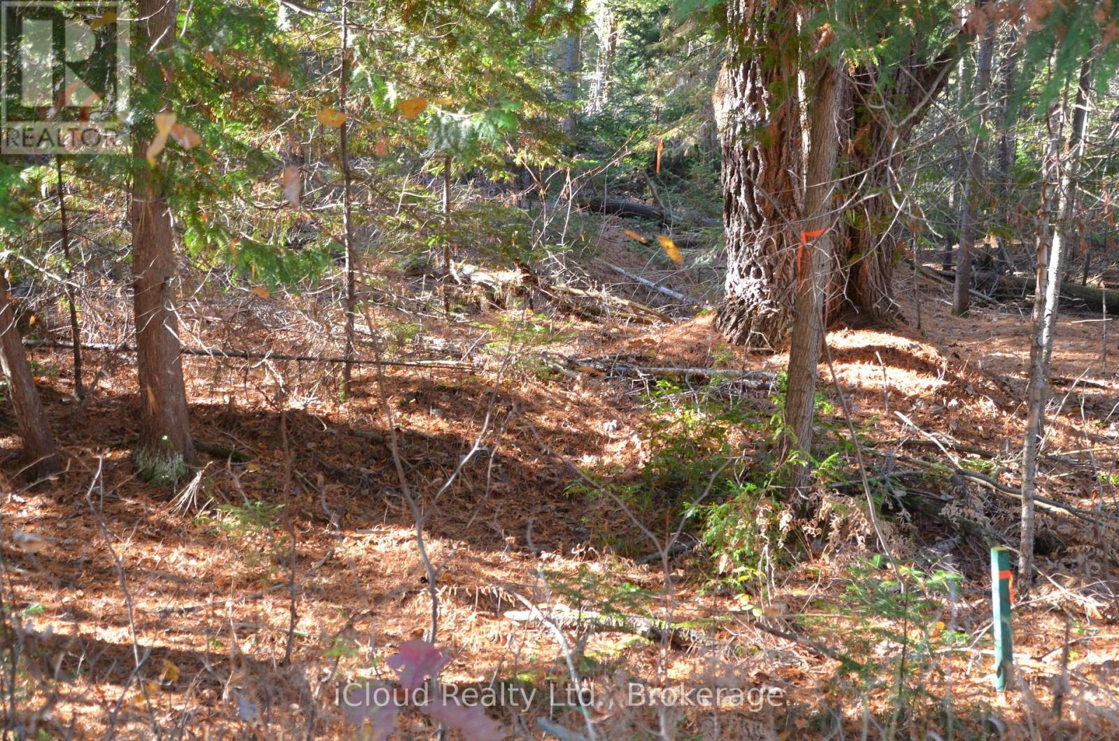 3 And 2 Parker Bay Road, Whitestone, Ontario