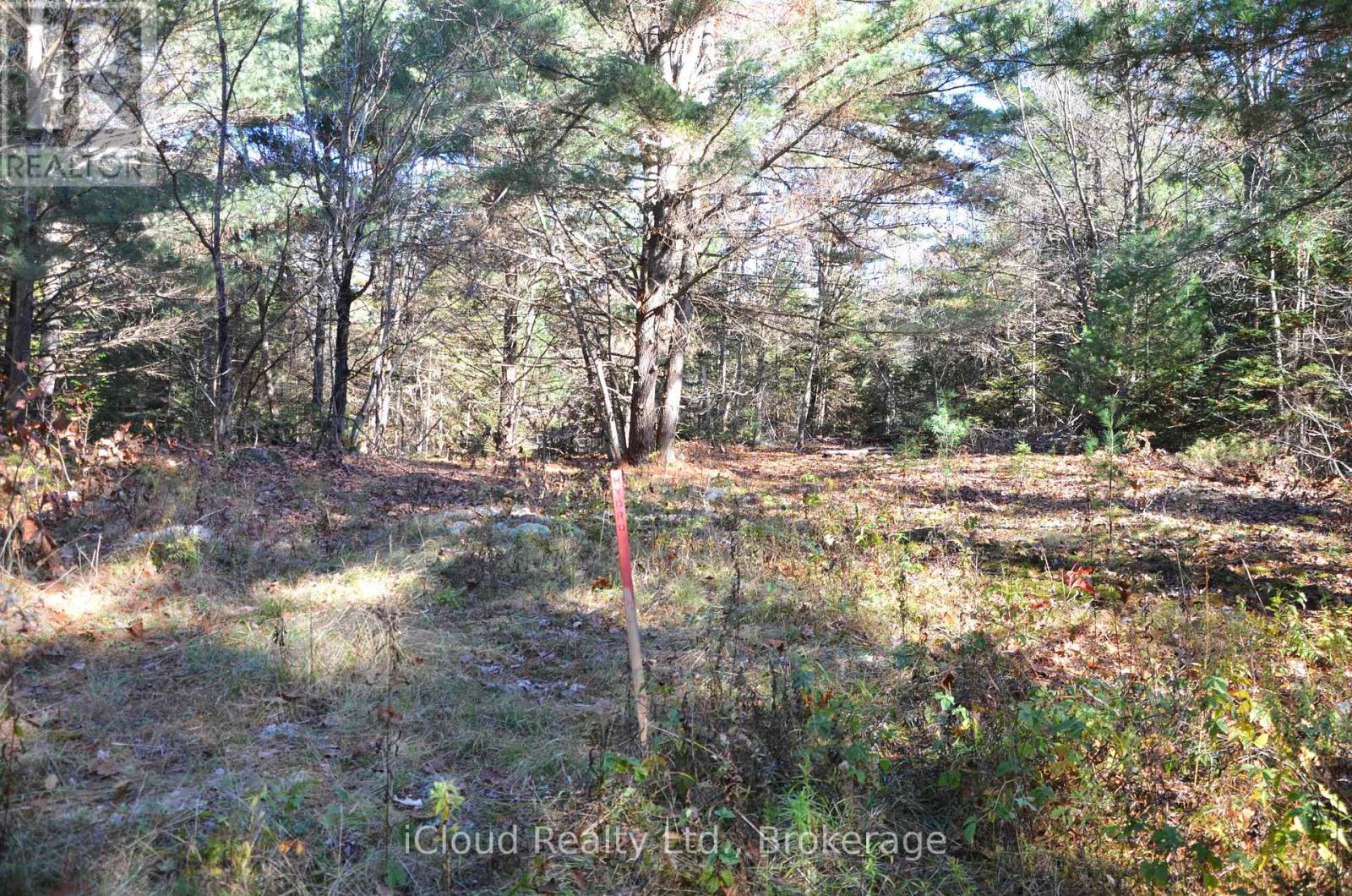 3 And 2 Parker Bay Road, Whitestone, Ontario