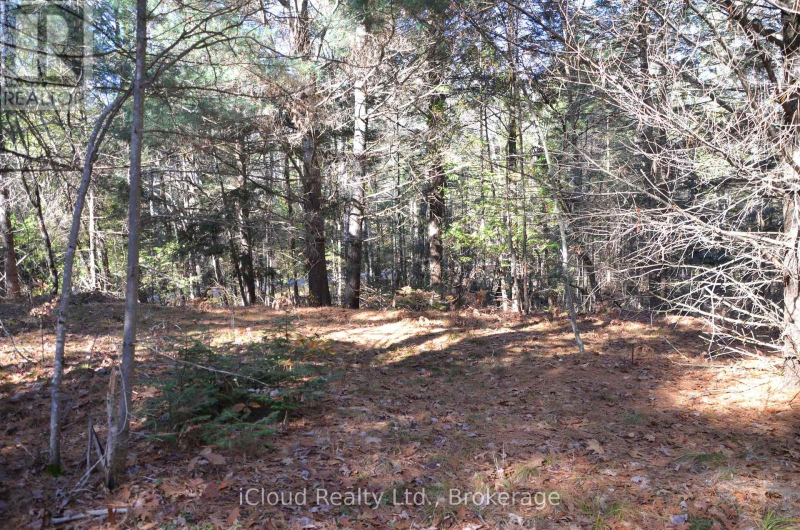 3 And 2 Parker Bay Road, Whitestone, Ontario