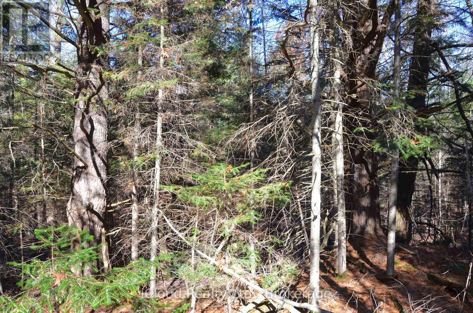 3 And 2 Parker Bay Road, Whitestone, Ontario