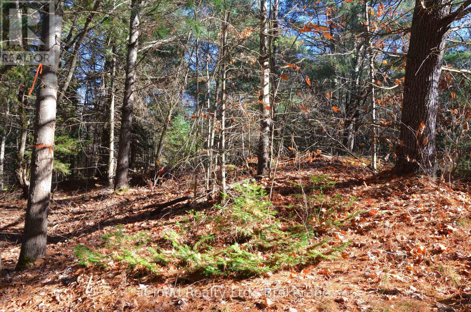 3 And 2 Parker Bay Road, Whitestone, Ontario