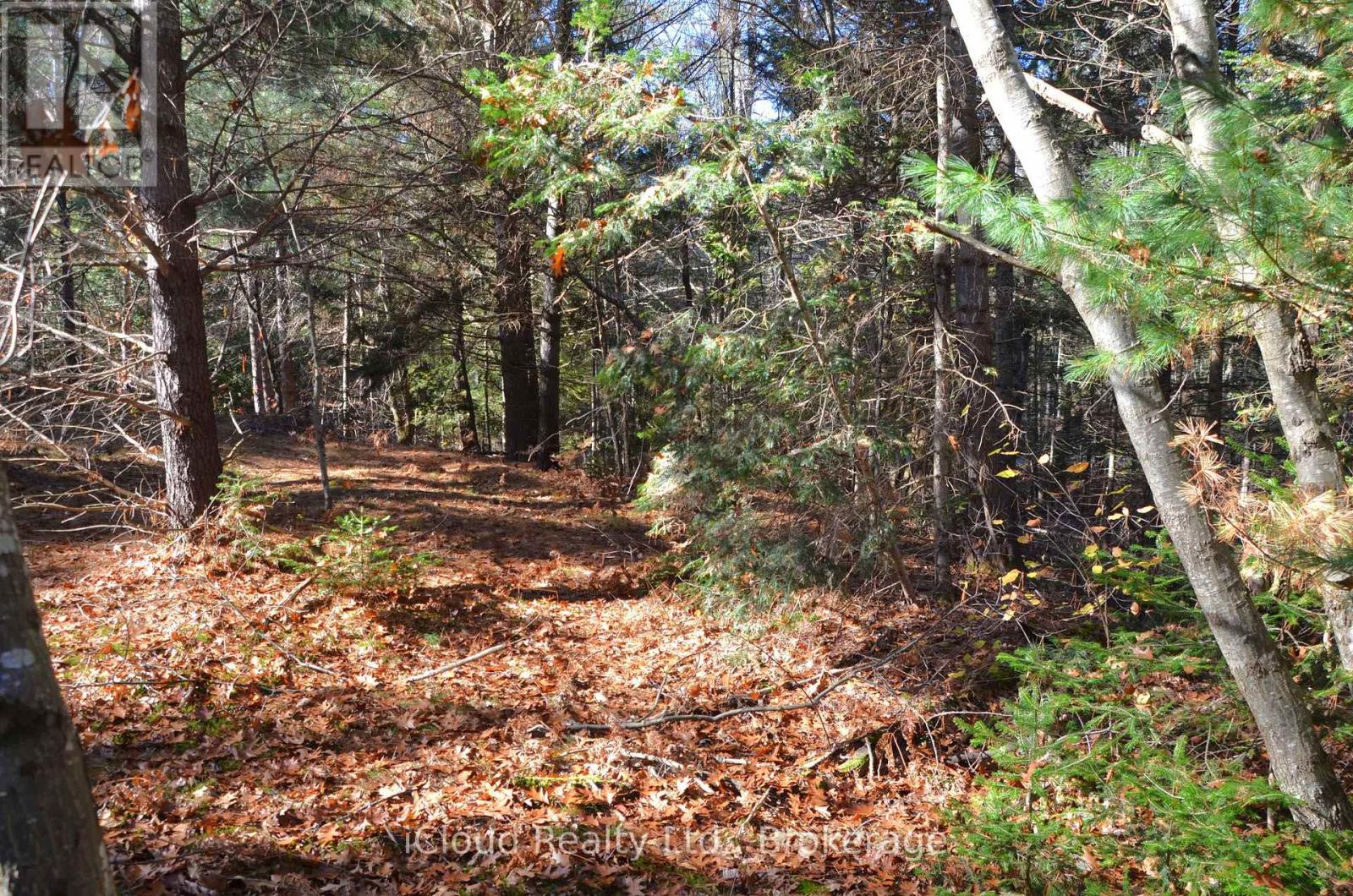 3 And 2 Parker Bay Road, Whitestone, Ontario