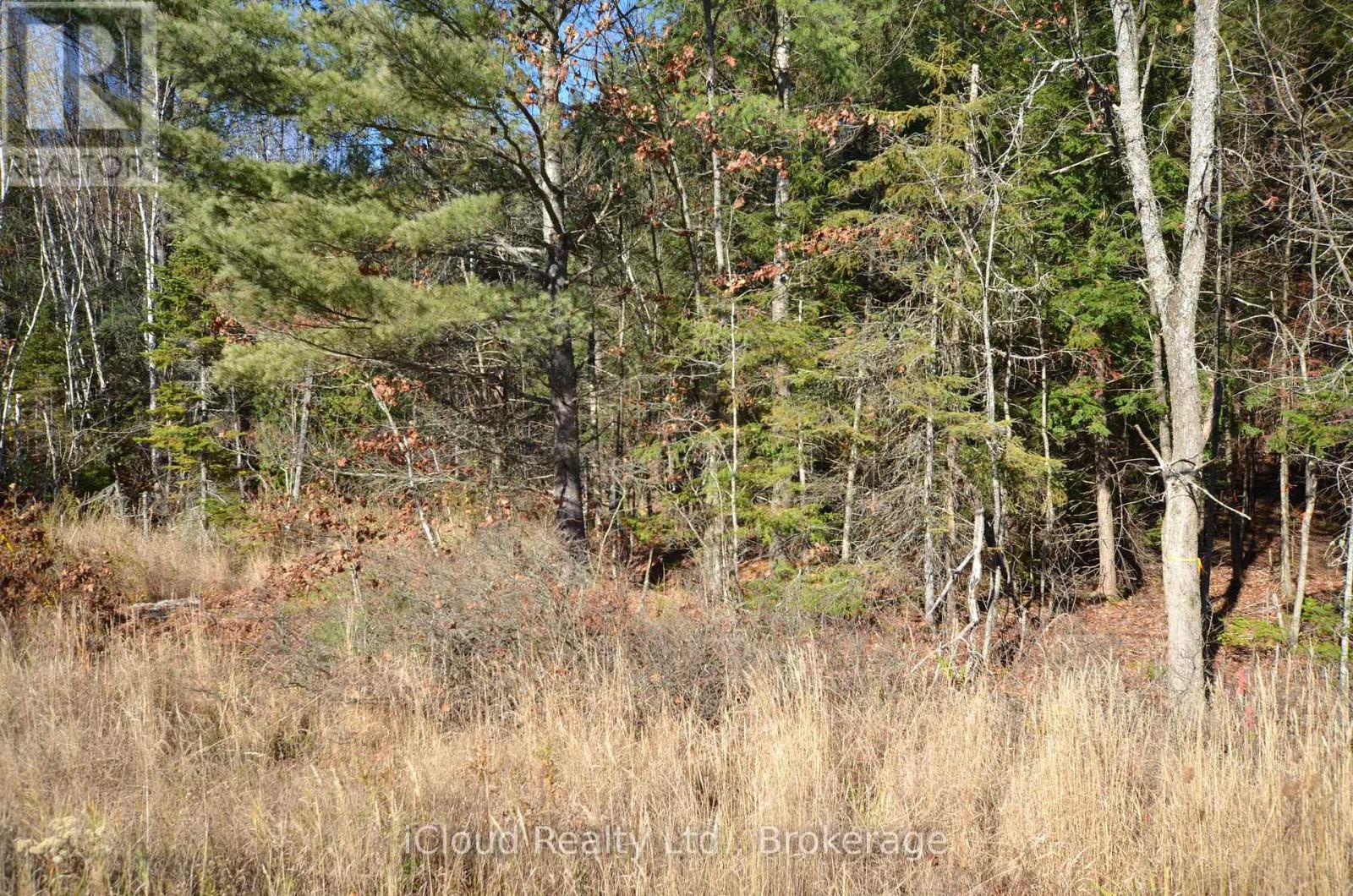 3 And 2 Parker Bay Road, Whitestone, Ontario