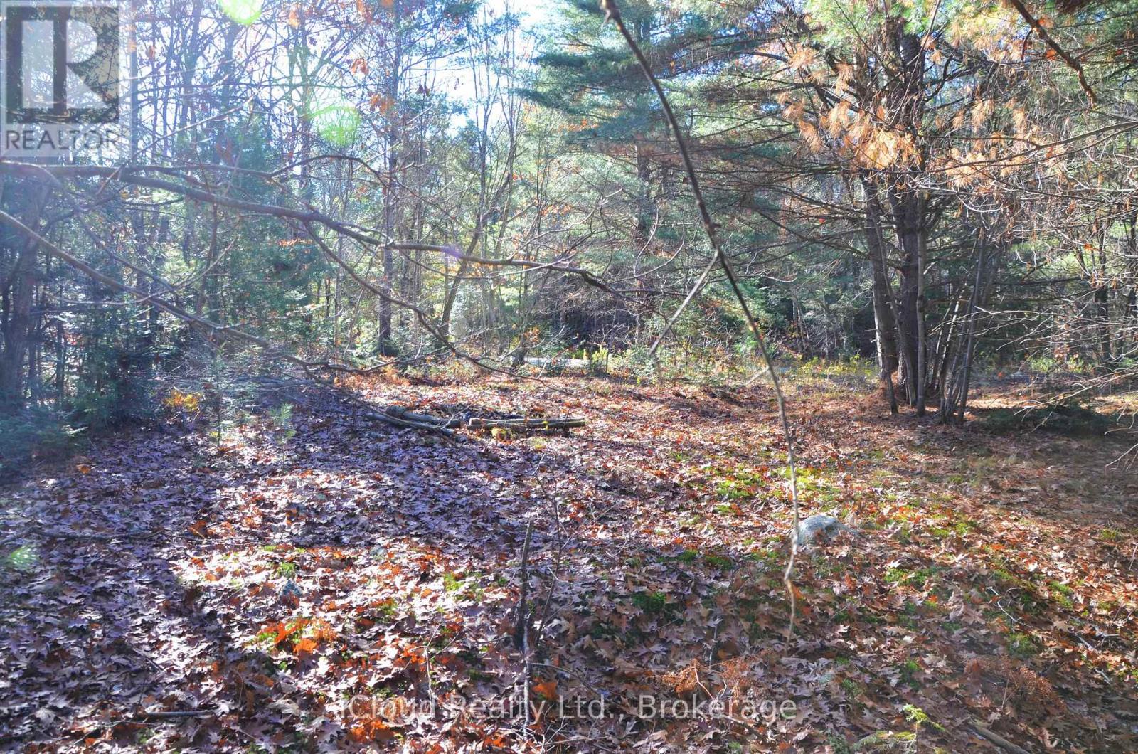 3 And 2 Parker Bay Road, Whitestone, Ontario