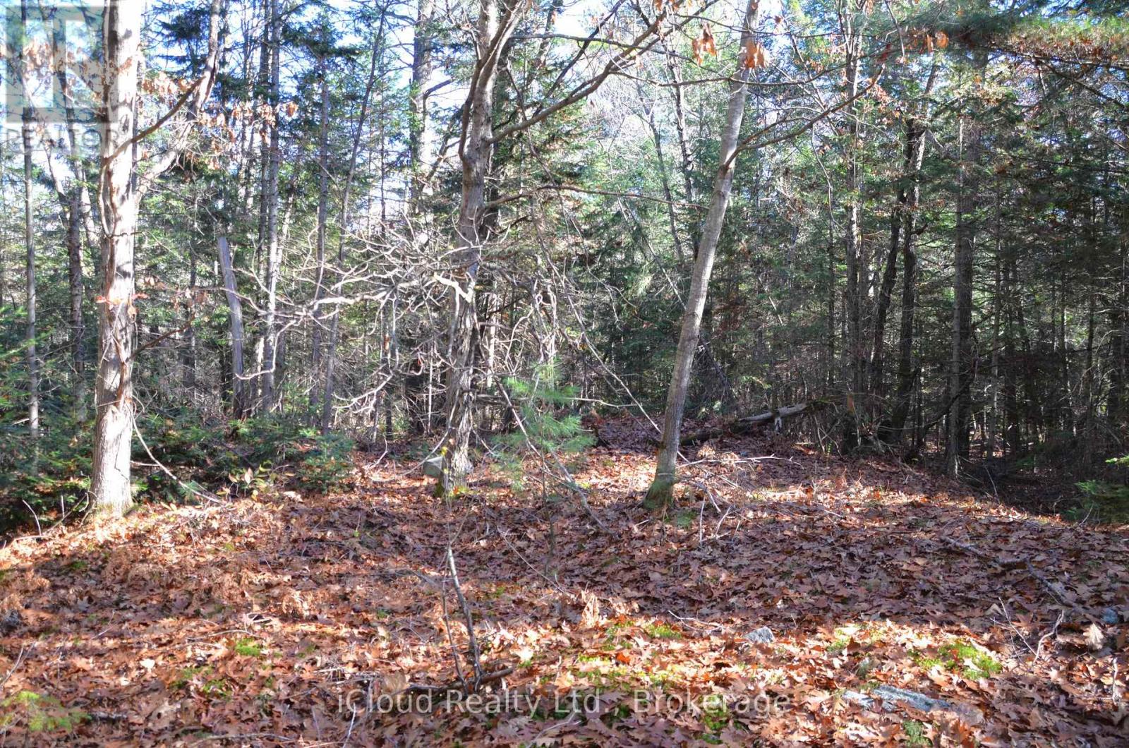 3 And 2 Parker Bay Road, Whitestone, Ontario