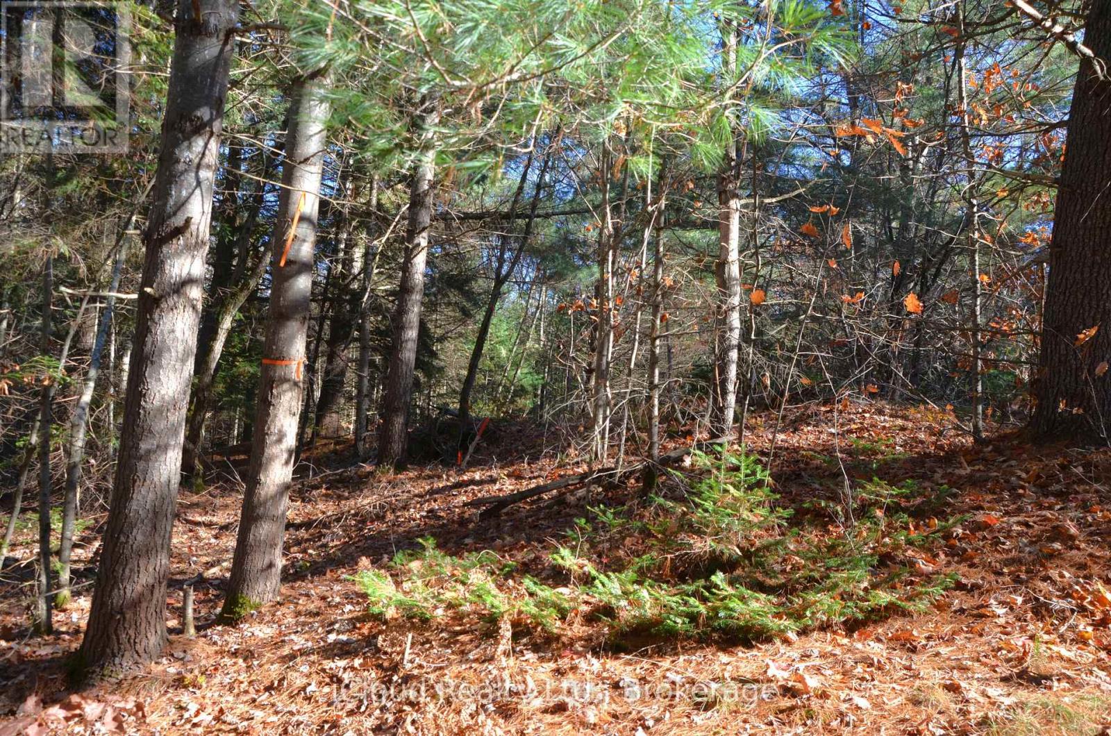 3 And 2 Parker Bay Road, Whitestone, Ontario