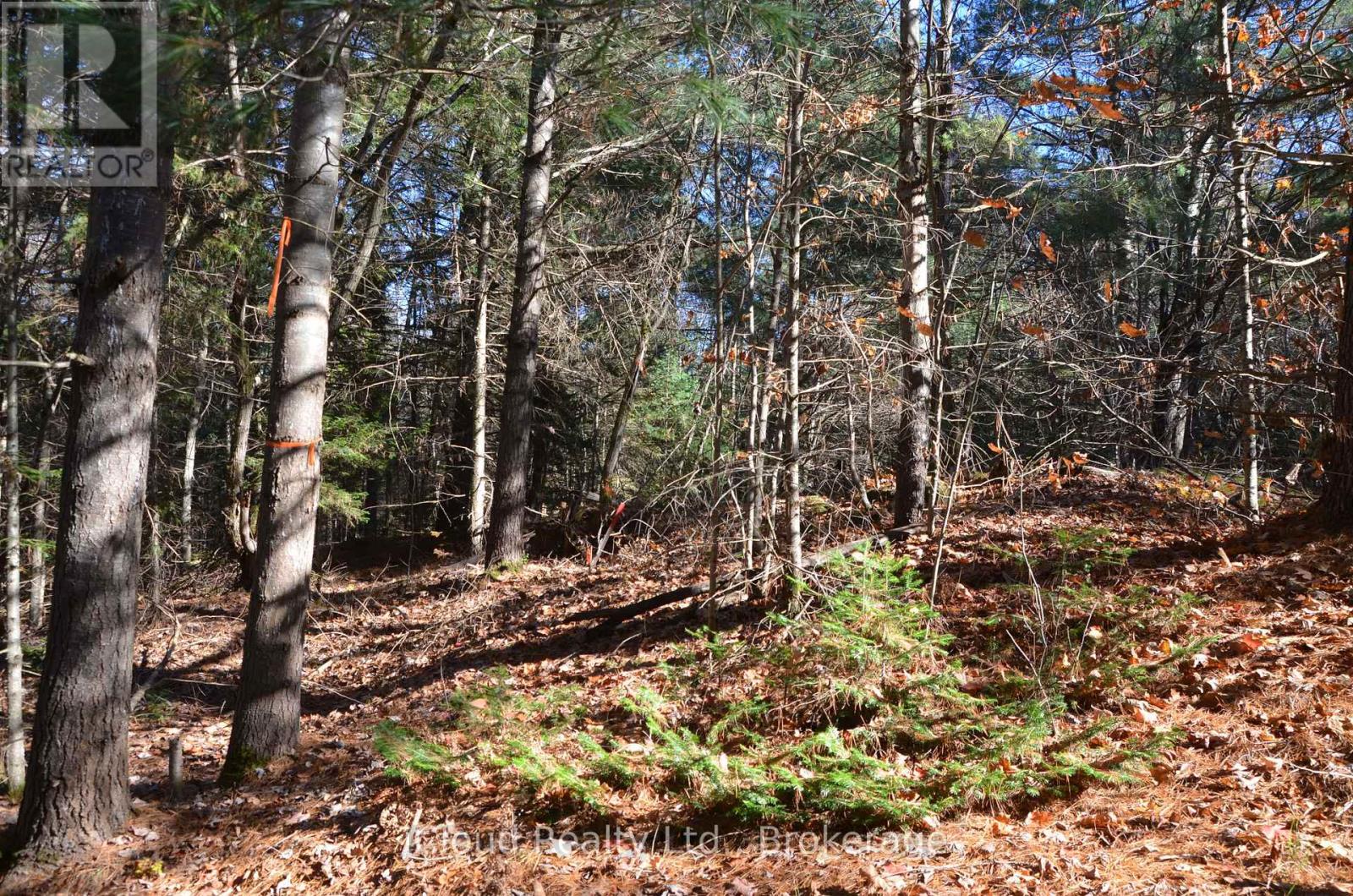 3 And 2 Parker Bay Road, Whitestone, Ontario