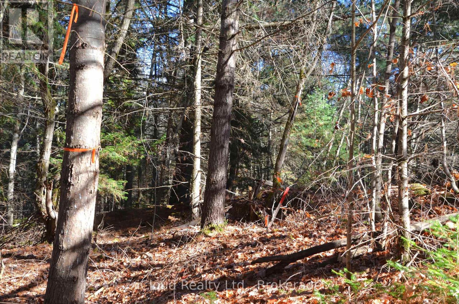 3 And 2 Parker Bay Road, Whitestone, Ontario