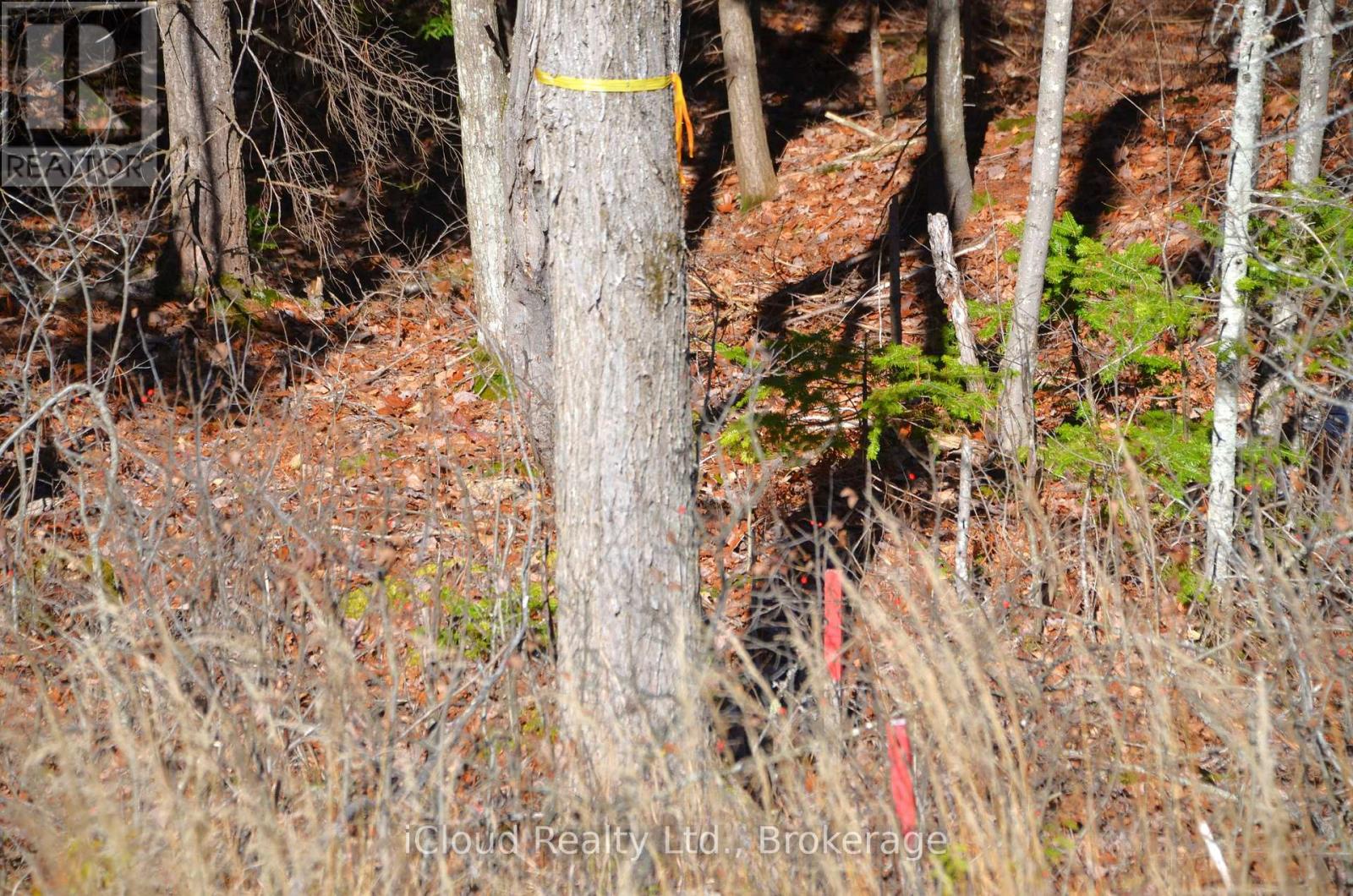 3 And 2 Parker Bay Road, Whitestone, Ontario