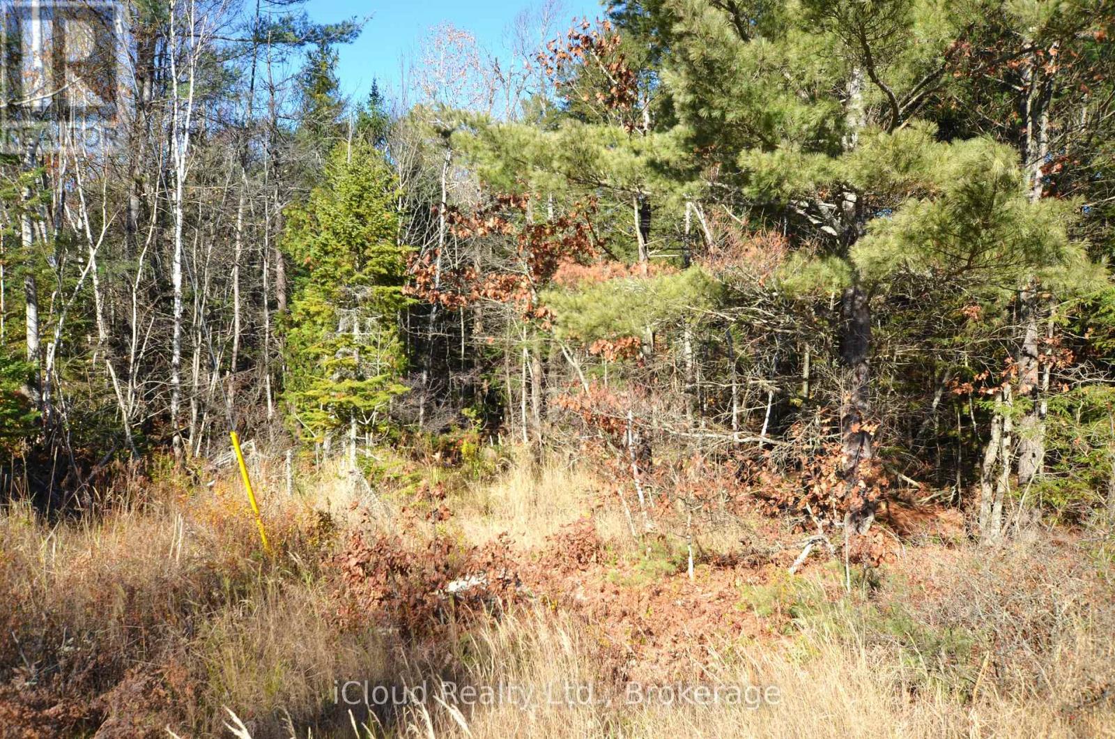 3 And 2 Parker Bay Road, Whitestone, Ontario