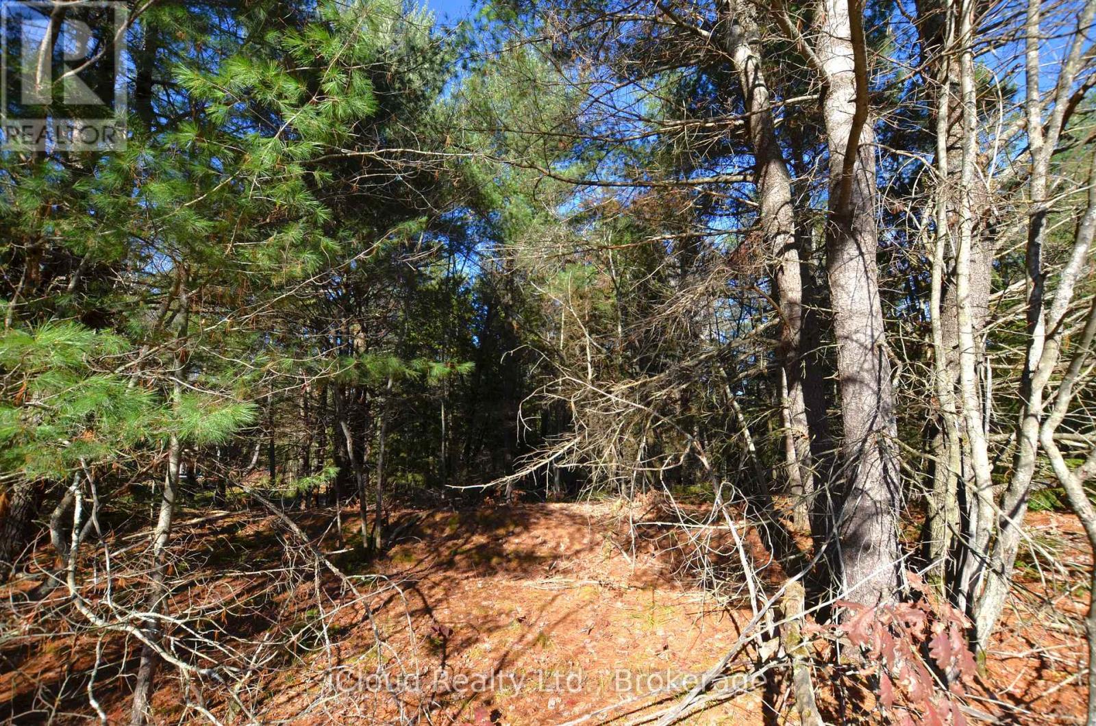 3 And 2 Parker Bay Road, Whitestone, Ontario