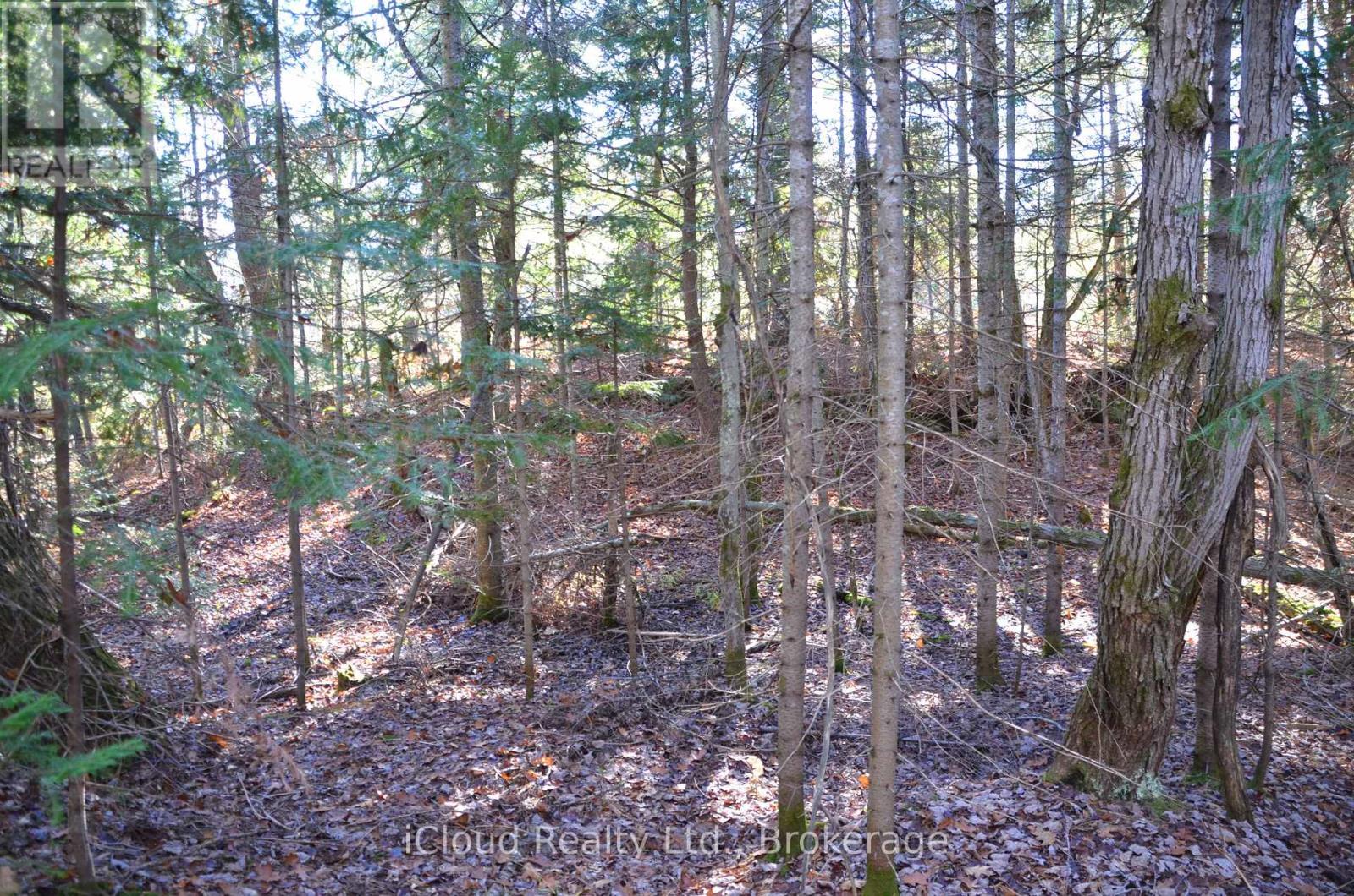 3 And 2 Parker Bay Road, Whitestone, Ontario