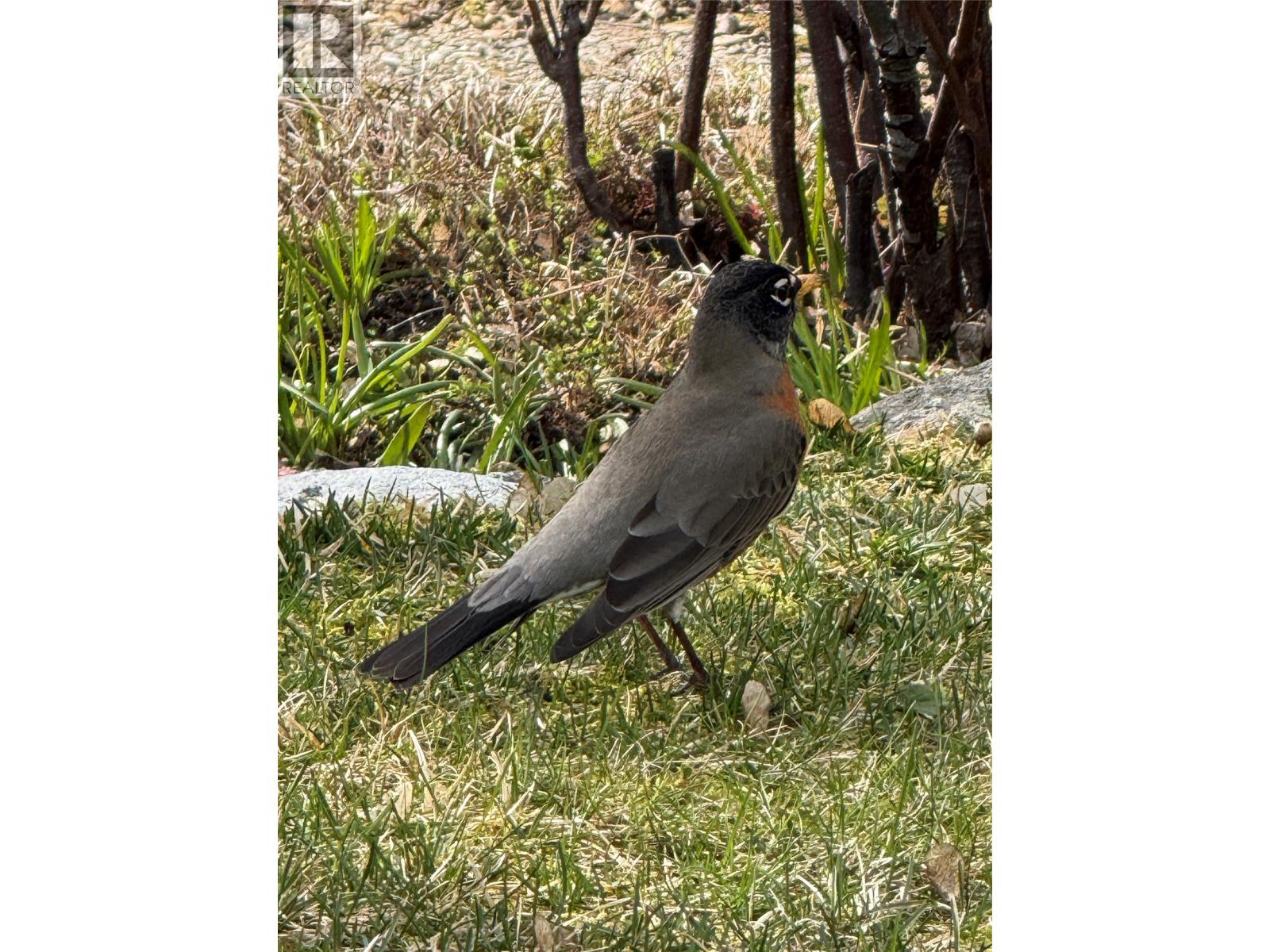 2108 Falls Street, Nelson, British Columbia