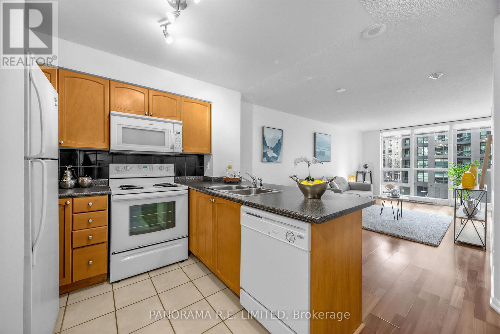 306 - 231 Fort York Boulevard, Toronto (niagara), Ontario