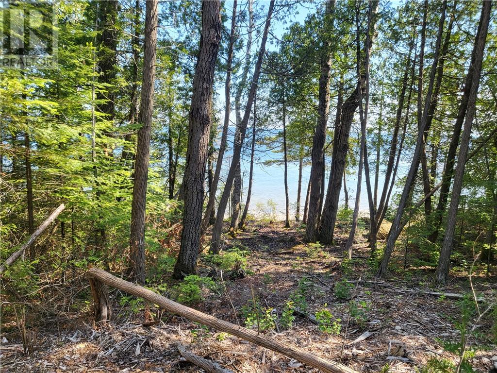 Lot 1 31m-209 Water Street, Meldrum Bay, Ontario
