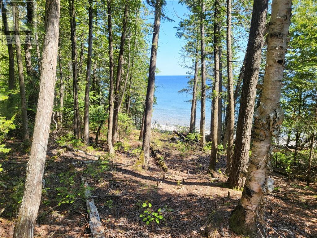 Lot 1 31m-209 Water Street, Meldrum Bay, Ontario
