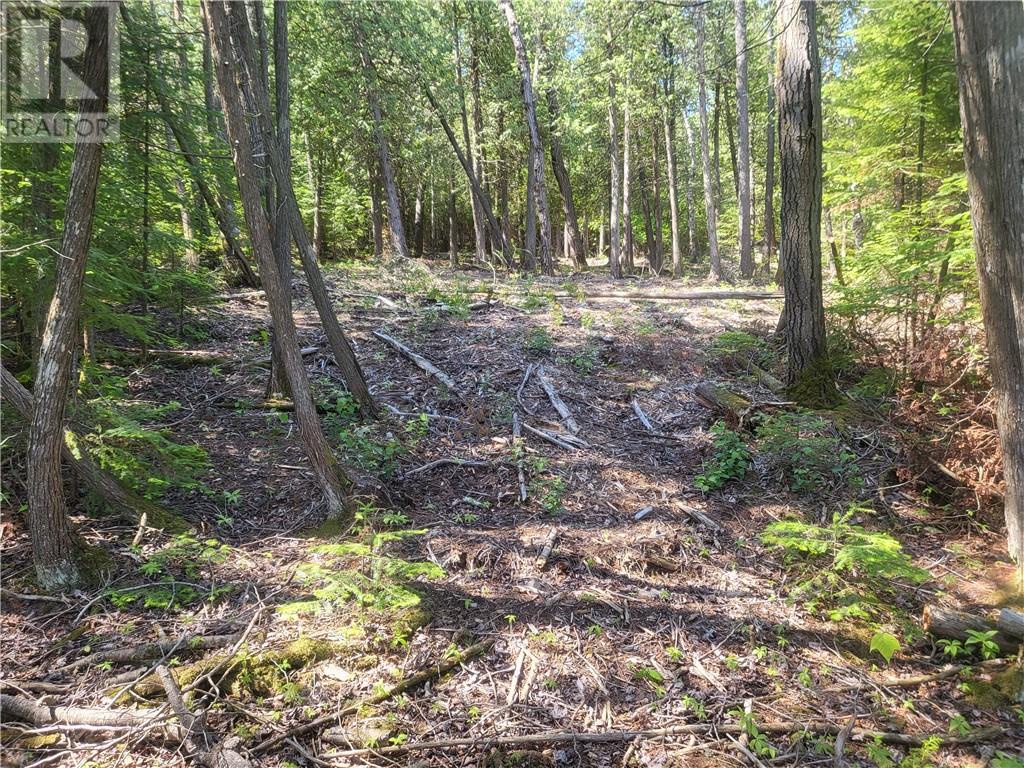 Lot 1 31m-209 Water Street, Meldrum Bay, Ontario