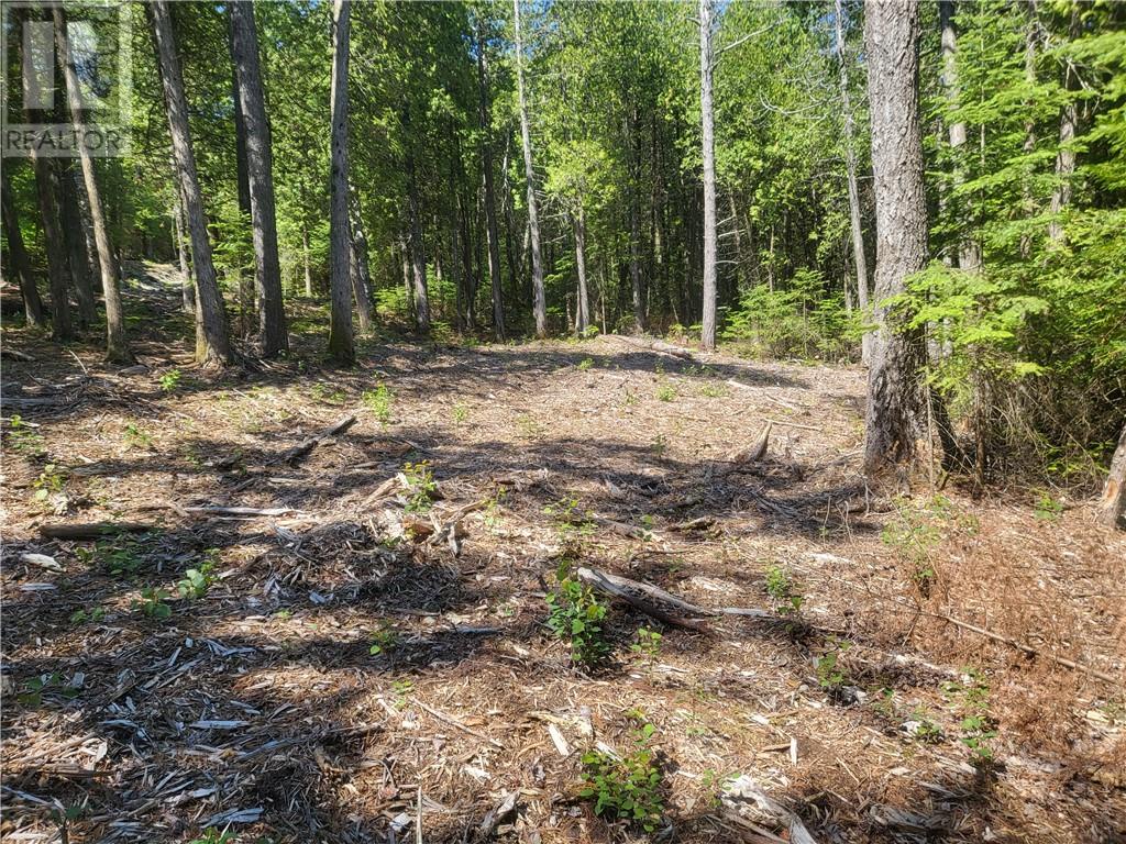Lot 1 31m-209 Water Street, Meldrum Bay, Ontario