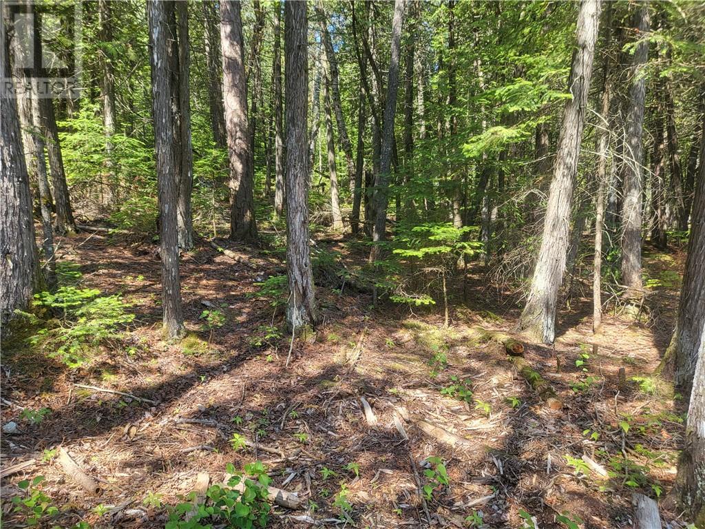 Lot 1 31m-209 Water Street, Meldrum Bay, Ontario