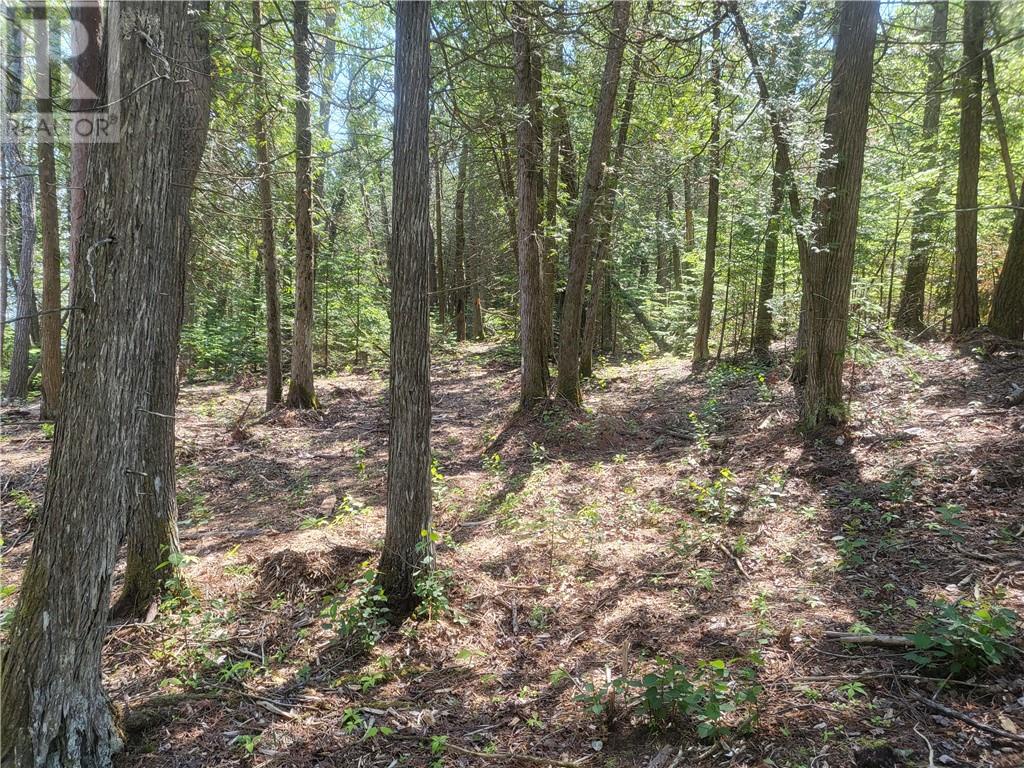 Lot 1 31m-209 Water Street, Meldrum Bay, Ontario