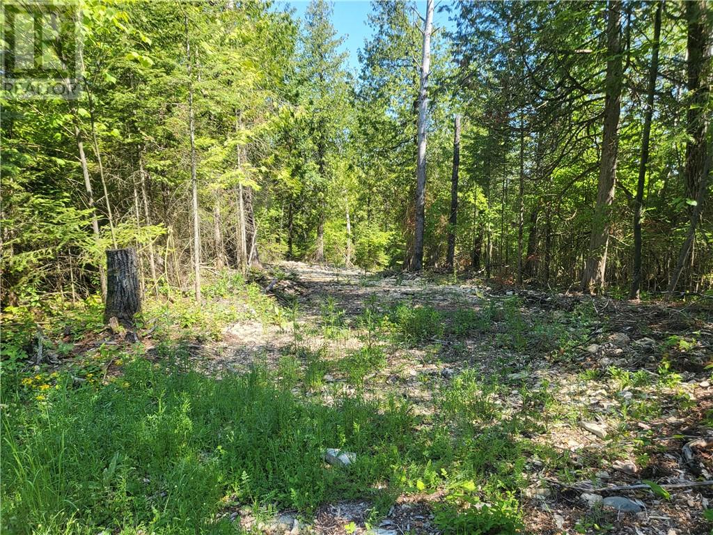 Lot 1 31m-209 Water Street, Meldrum Bay, Ontario