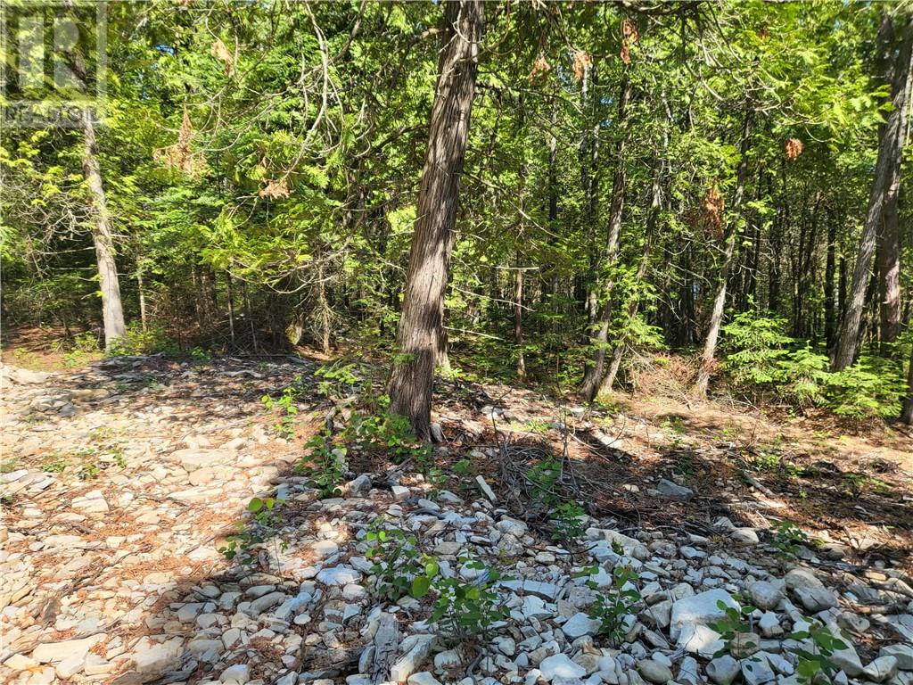 Lot 1 31m-209 Water Street, Meldrum Bay, Ontario