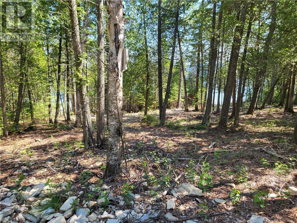 Lot 1 31m-209 Water Street, Meldrum Bay, Ontario