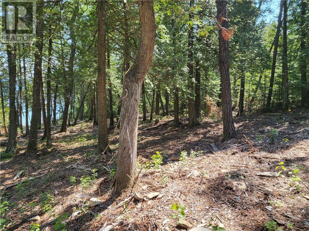 Lot 1 31m-209 Water Street, Meldrum Bay, Ontario