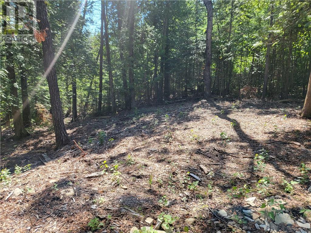 Lot 1 31m-209 Water Street, Meldrum Bay, Ontario