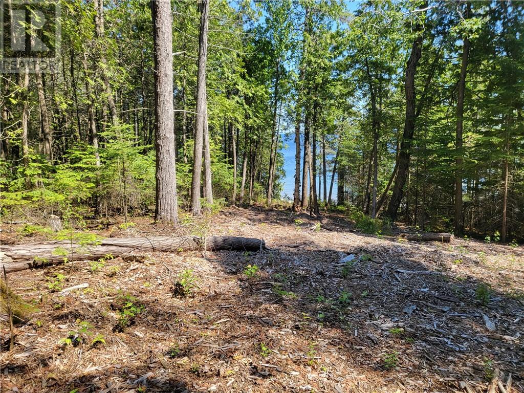 Lot 1 31m-209 Water Street, Meldrum Bay, Ontario