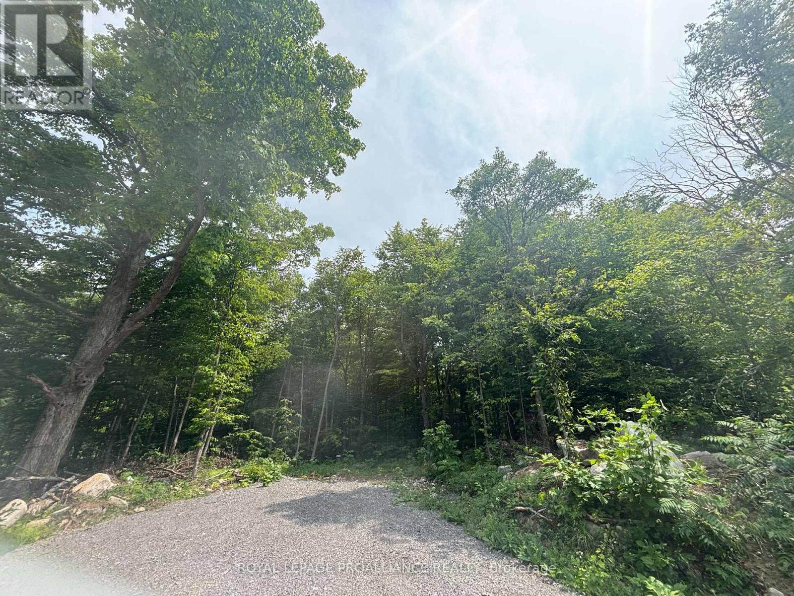 Severed B - 554 Pigden Road, Madoc, Ontario