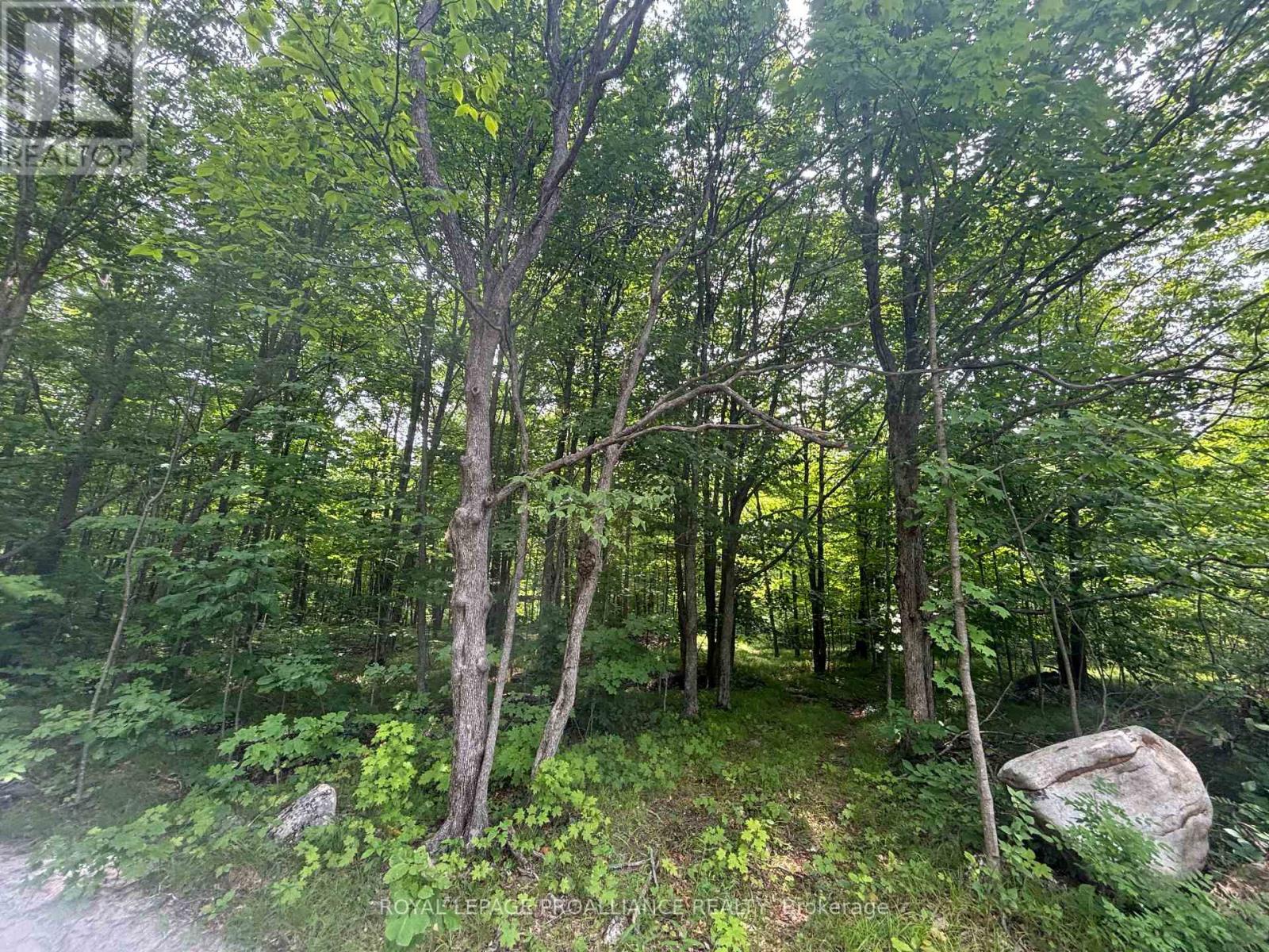 Severed B - 554 Pigden Road, Madoc, Ontario