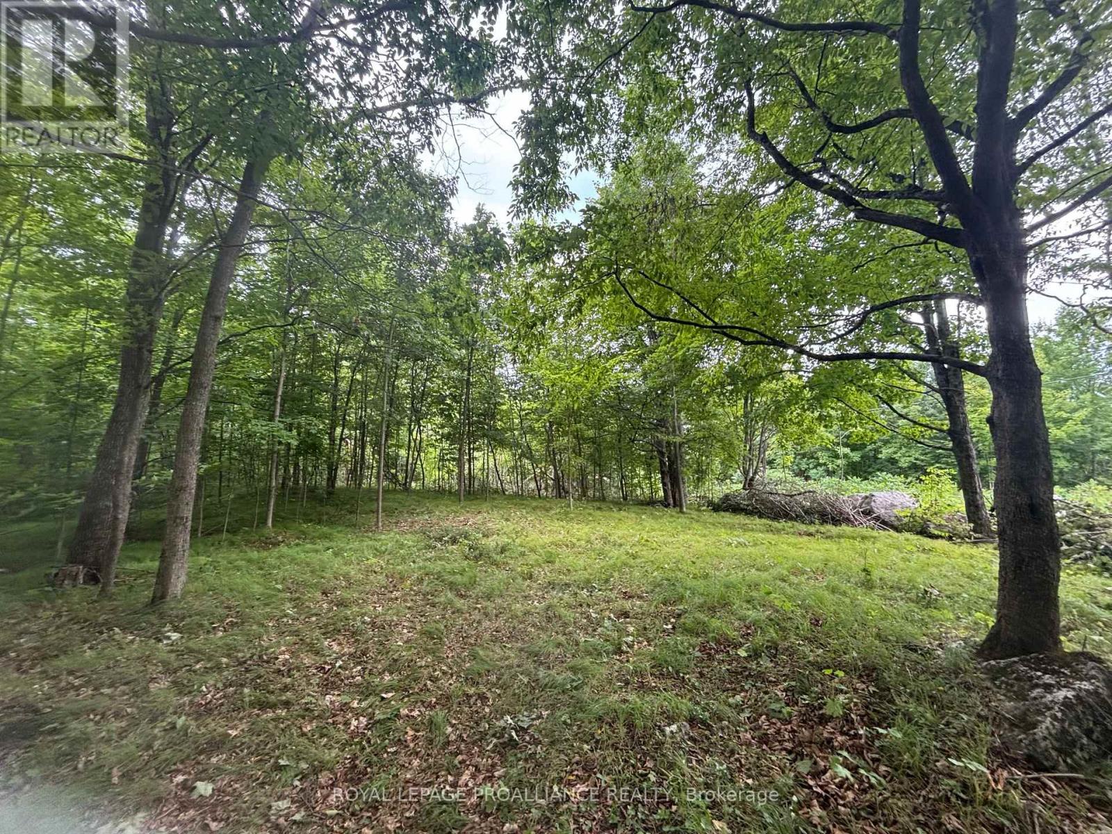 Severed B - 554 Pigden Road, Madoc, Ontario