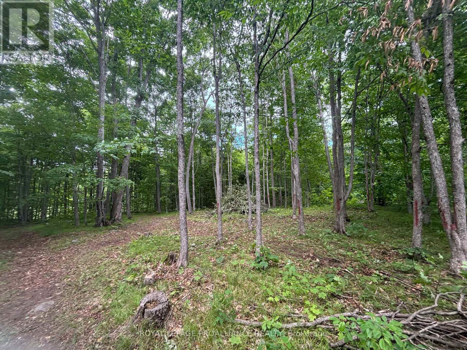 Severed B - 554 Pigden Road, Madoc, Ontario