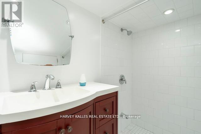 178 Manning Avenue, Toronto (trinity-bellwoods), Ontario