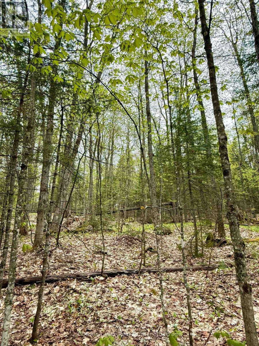 0 King Lake, Machar, Ontario