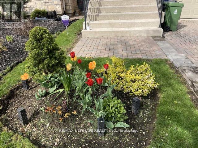 1160 Islington Avenue, Toronto (islington-city Centre West), Ontario